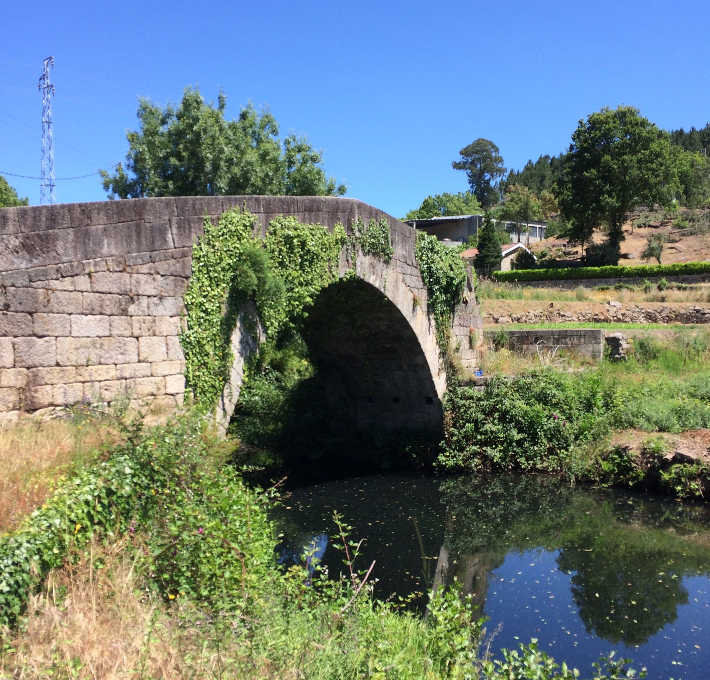 Greg's Wine and Food Blog